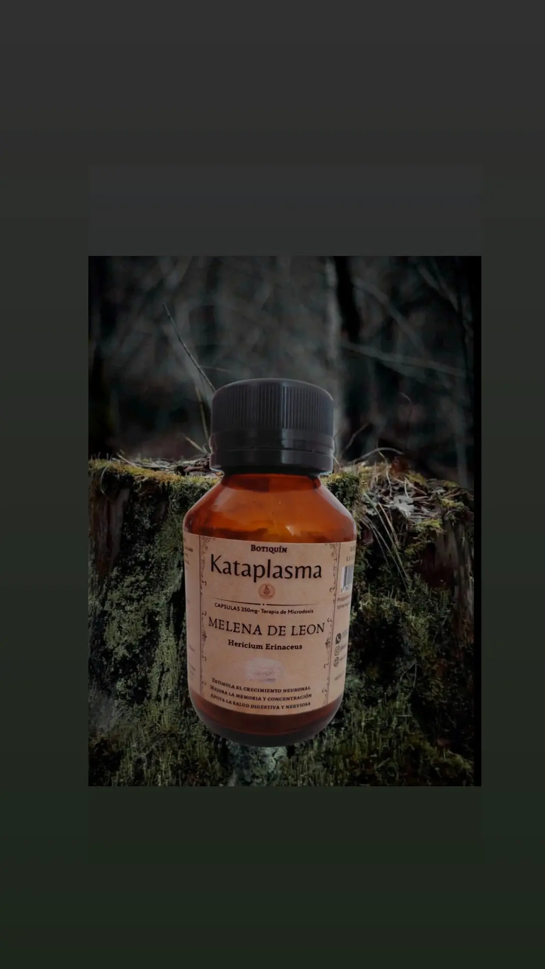 Microdosis de Melena de León