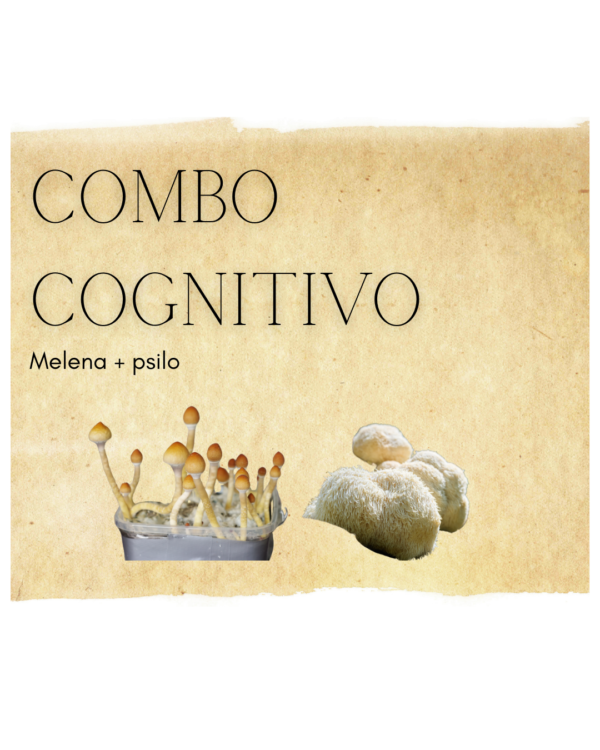 Combo Cognitivo - Melena + Psilo - Capsulas