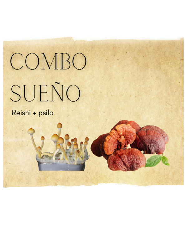 Combo sueño -REISHI + PSILO capsulas.