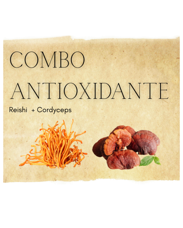 Combo Antioxidante - Cordyceps + Reishi - Capsulas