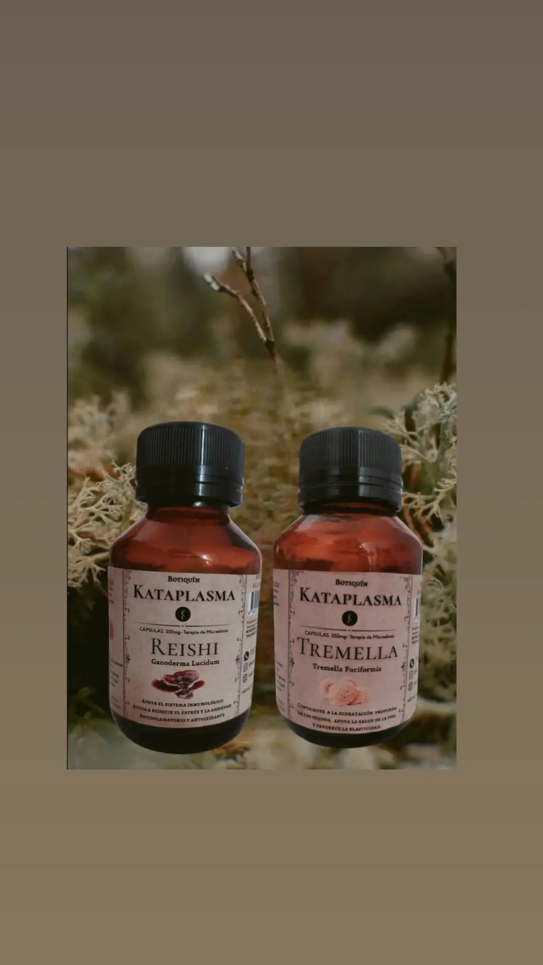 Combo belleza - Tremella y Reishi